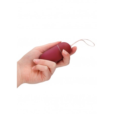 10 Speed Remote Vibrating Egg - Big - Red