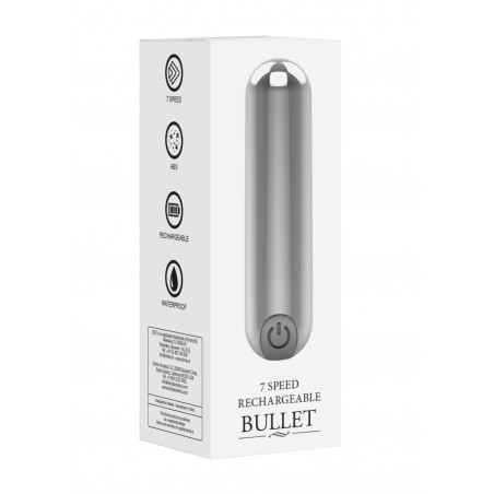 10 Speed Rechargeable Bullet - Silver