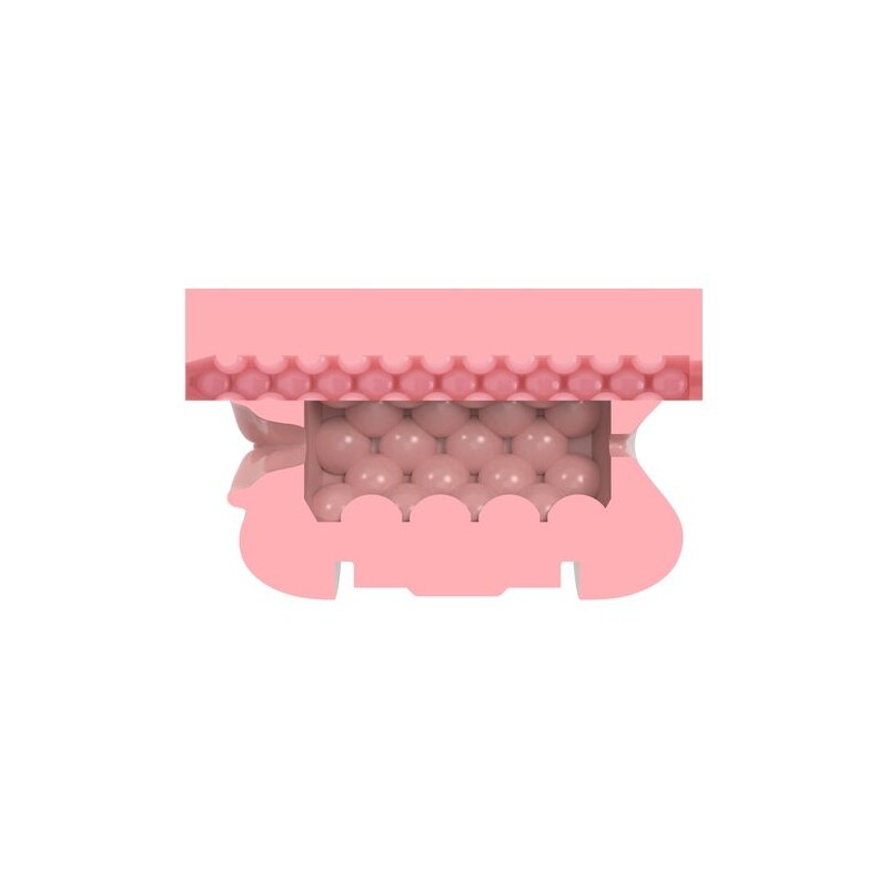 FLESHLIGHT | QUICKSHOT | STAMINA TRAINING UNIT LADY&BUTT