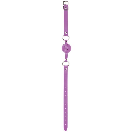 Gag Ball - Purple