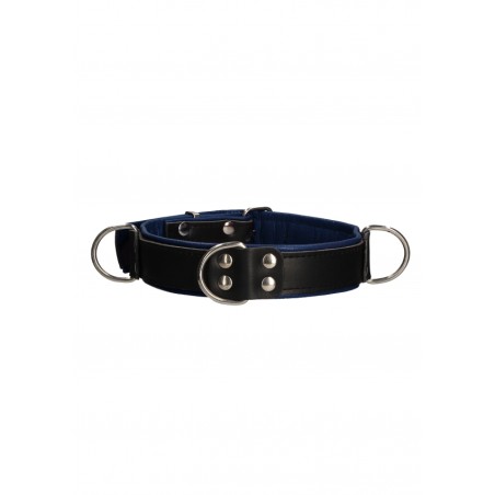 Deluxe Bondage Collar - One Size - Blue