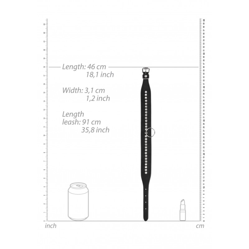 Diamond Studded Collar With Leash - Black