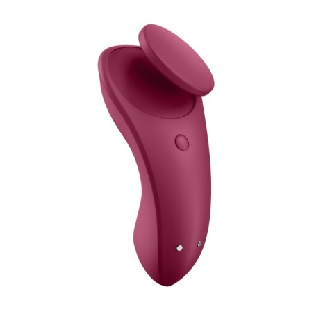 [ Sex Shop - Bulk ] Satisfyer | Sexy Secret | Wine Red
