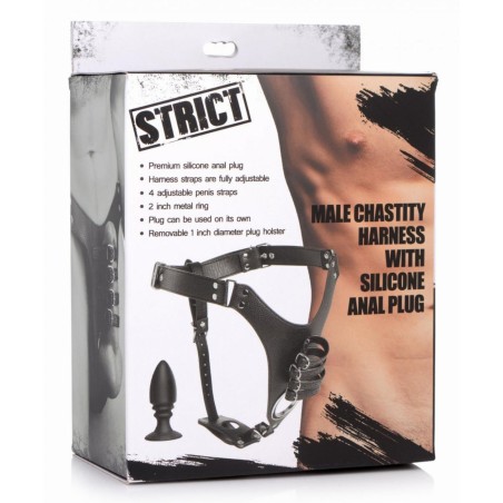 Penis Chastity Belt With Silicone Anal Plug
