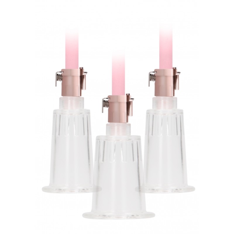 Large Pumped Clitoral & Nipple Pump Set - Rose Gold