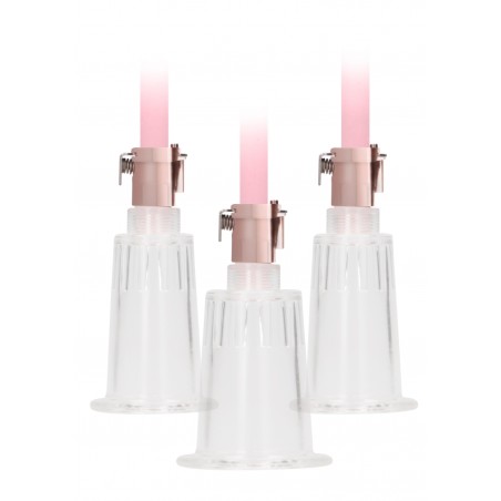 Pumped Clitoral & Nipple Pump Set Large - Rose Gold