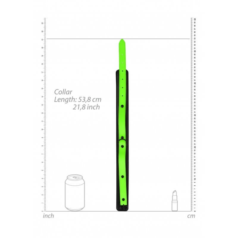 Collar, and, Leash, Glow in the Dark, ola4u, neo psyhico, athens Collar, and, Leash, Glow in the Dark, ola4u, neo psyhico, athens