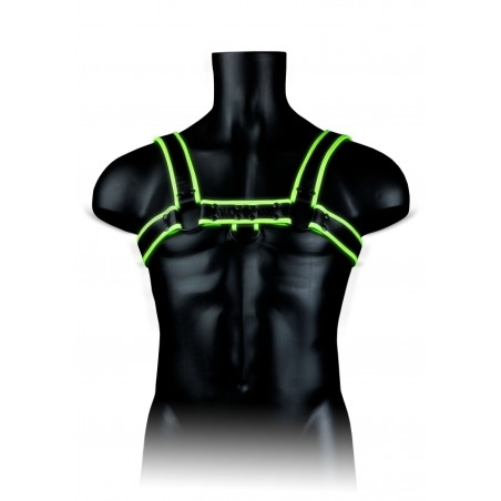 Chest, Bulldog Harness, Glow in the Dark