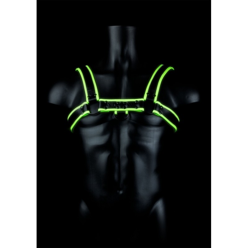Chest, Bulldog Harness, Glow in the Dark