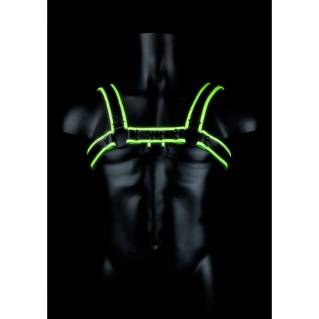 Chest, Bulldog Harness, Glow in the Dark