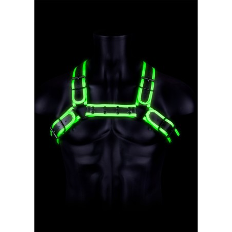 Buckle, Bulldog, Chest Harness, Glow in the Dark