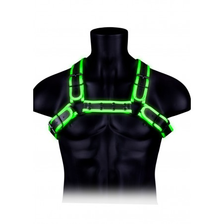 Buckle, Bulldog, Chest Harness, Glow in the Dark