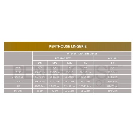 PENTHOUSE, Ολόσωμο Καλσόν, Dreamy Diva, Μαύρο