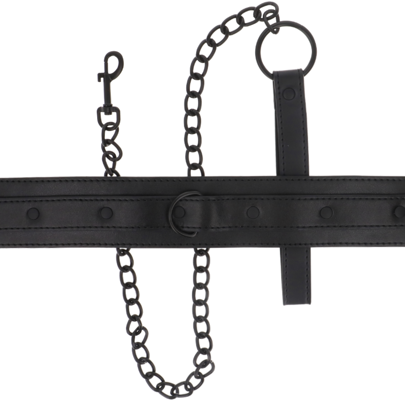 INTENSE FETISH, VEGAN, LEATHER, COLLAR