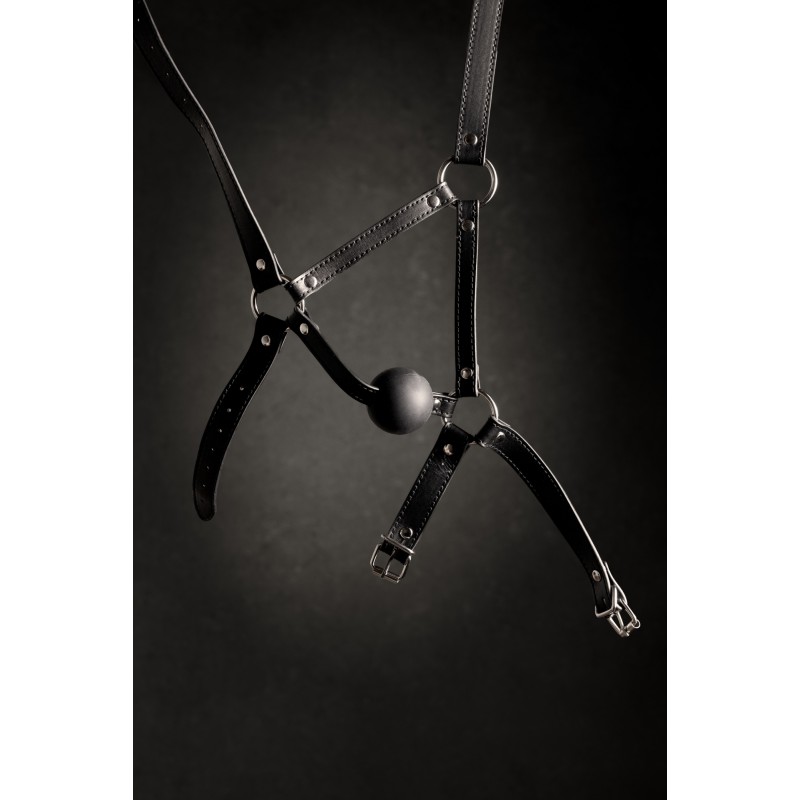 OUCH!, Head Harness, with Solid Ball Gag, Black