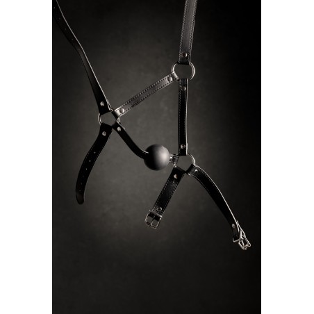 OUCH!, Head Harness, with Solid Ball Gag, Black