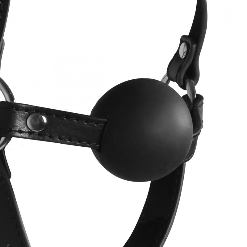 OUCH!, Blindfolded, Head Harness, with Solid Ball Gag, Black