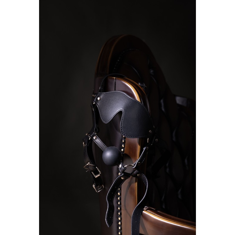 OUCH!, Blindfolded, Head Harness, with Solid Ball Gag, Black