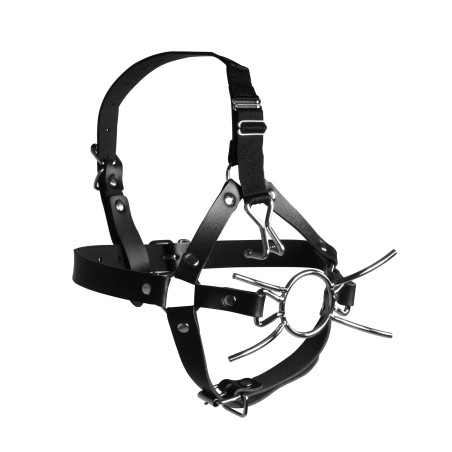 OUCH!, Head Harness, with Spider Gag, and Nose Hooks, Black