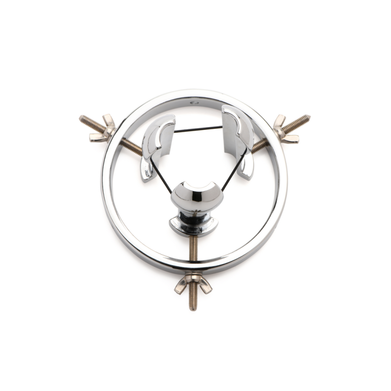Forced Spread - Stainless Steel Anal Explorer