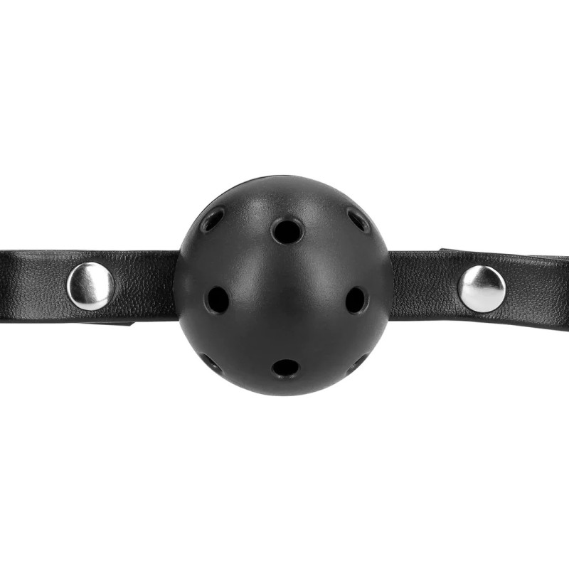 Muzzle with Removable Ball Gag - Black