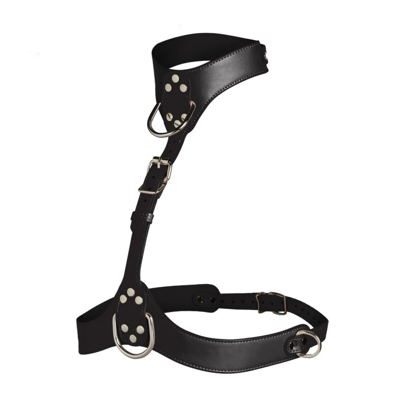 Vixen - Female Chest Harness - Black