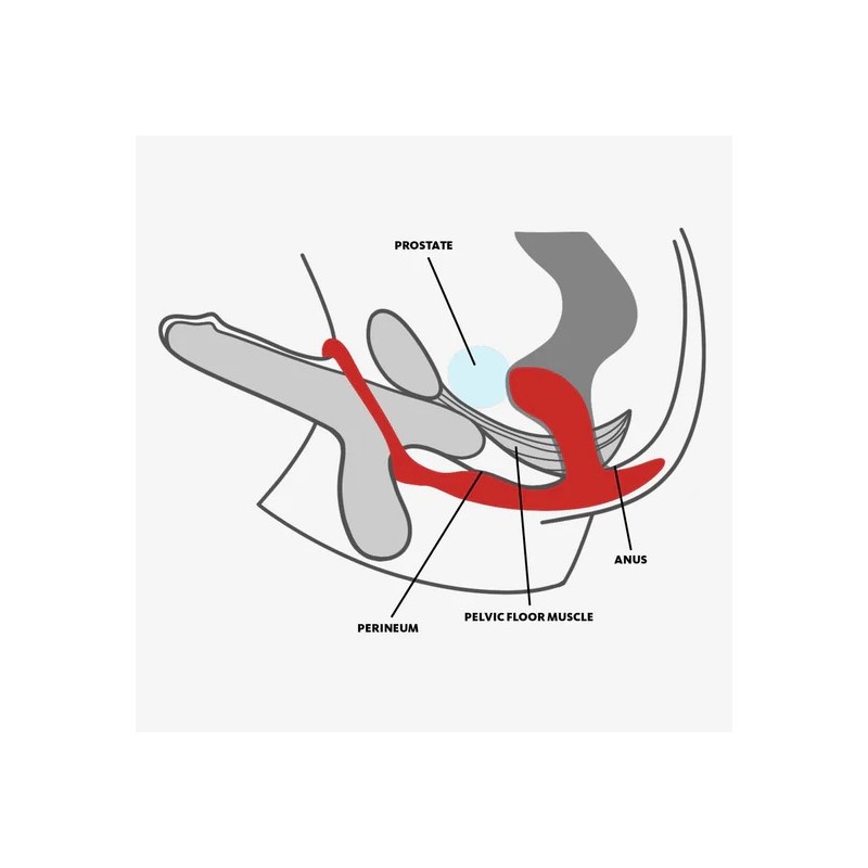 FUN FACTORY | BOOTIE RING ANAL PLUG - BLACK