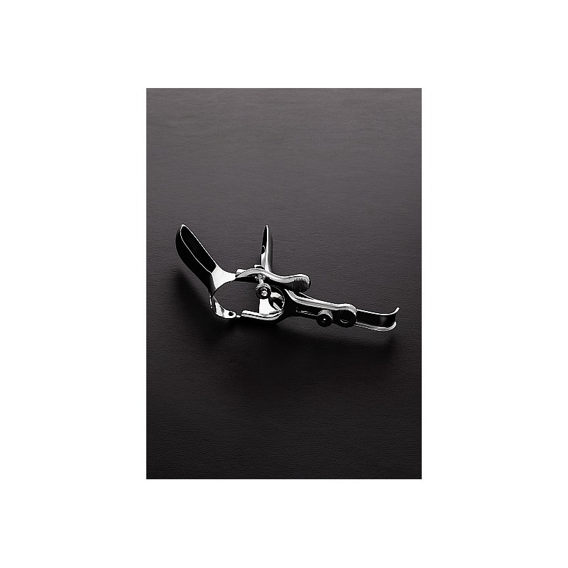 Speculum: Graeve medium Speculum: Graeve medium